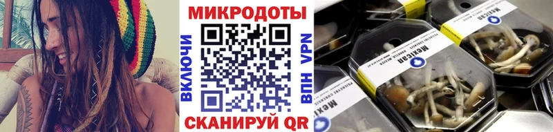 дарк нет клад  Рассказово  Псилоцибиновые грибы Psilocybe  даркнет сайт 