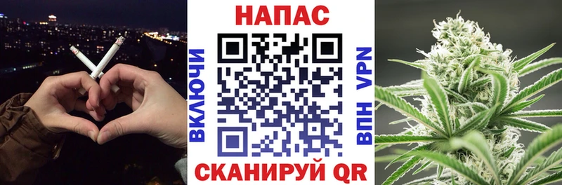 как найти   Рассказово  Марихуана MAZAR 